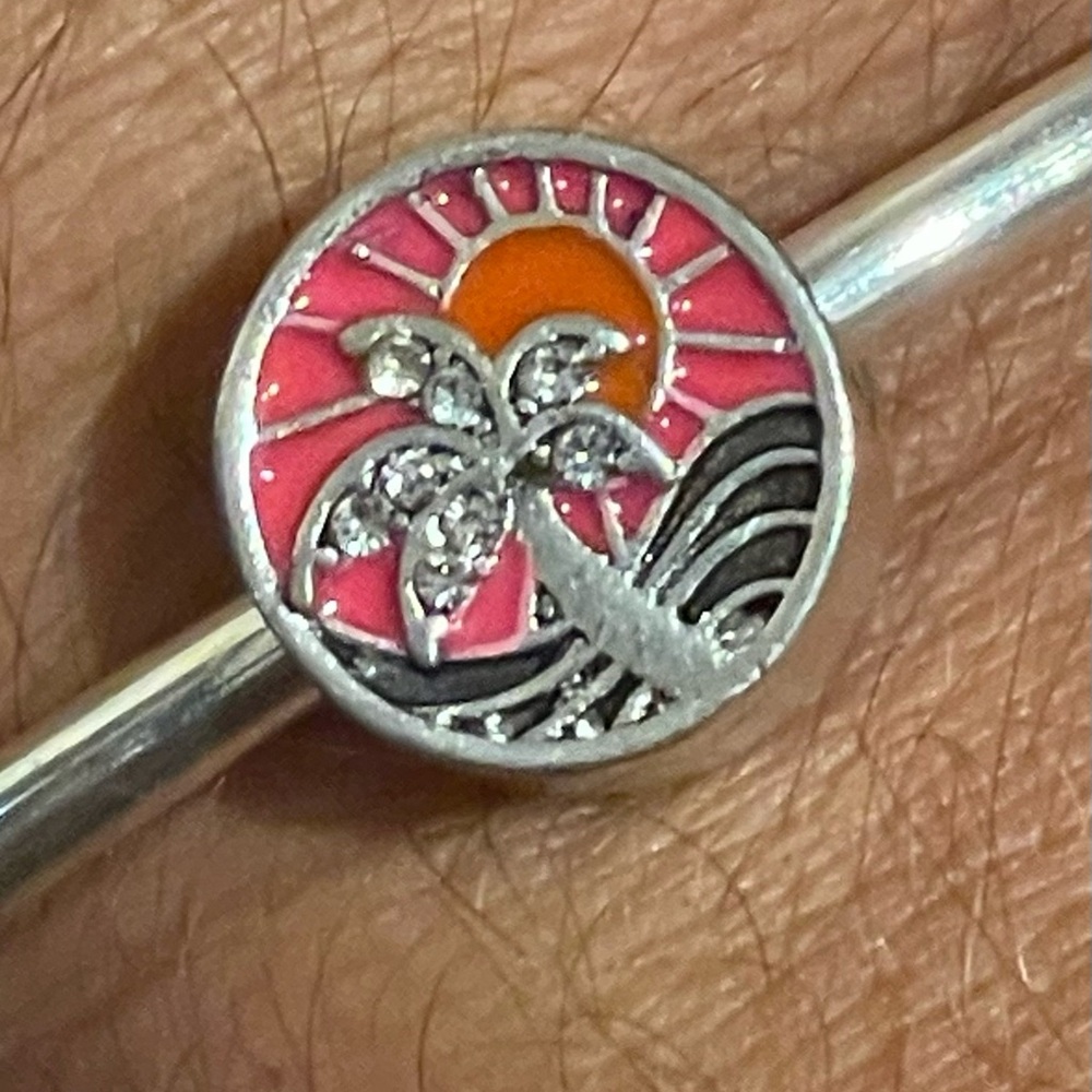 Collector charm for Royal Caribbean cruise lines. New with sealed bag.